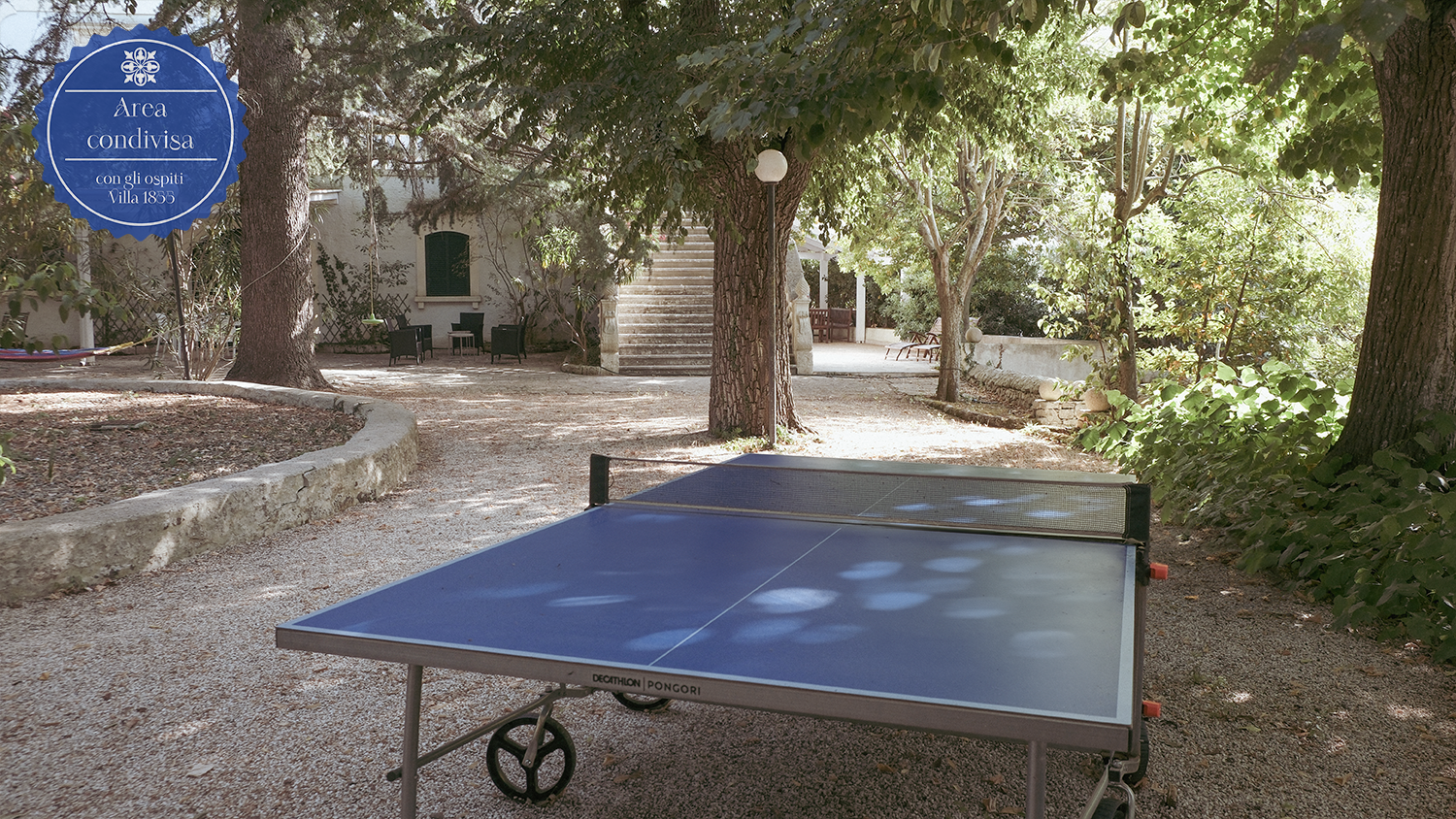 Ping Pong