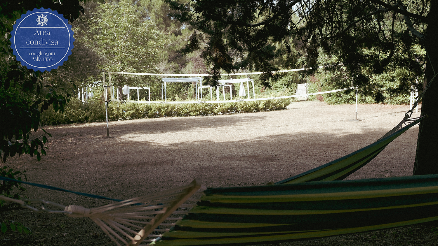 Pallavolo